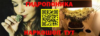 гашик Новозыбков