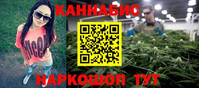 гашик Новозыбков