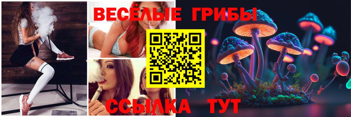 Псилоцибиновые грибы мицелий Красноперекопск